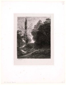 Daubigny - Les Bords du Cousin, 2014.1690