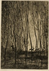 Daubigny - Stags in the Woods, 1927.2614