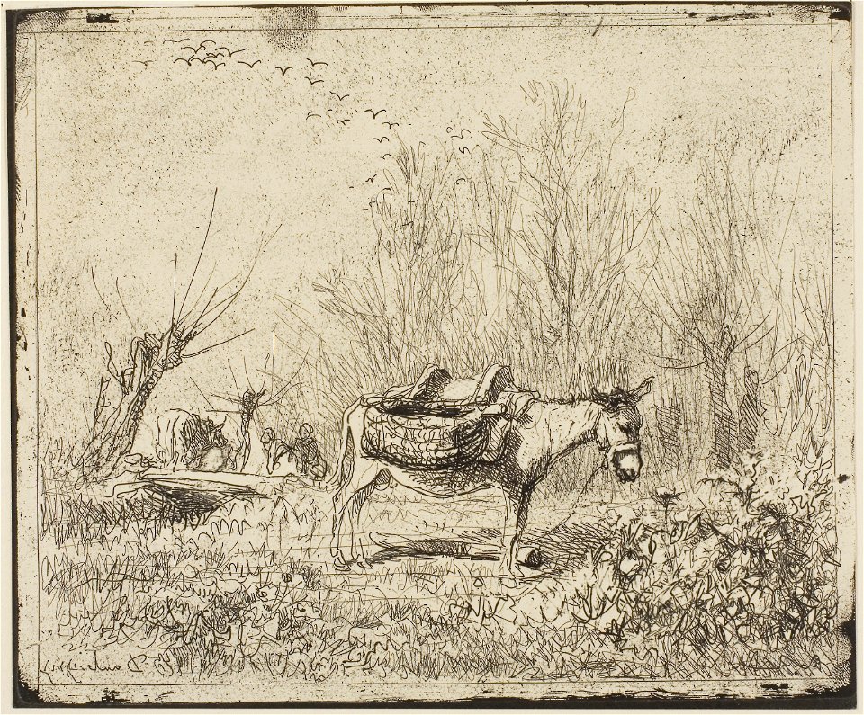 Daubigny - The Donkey in the Meadow, 1926.2227