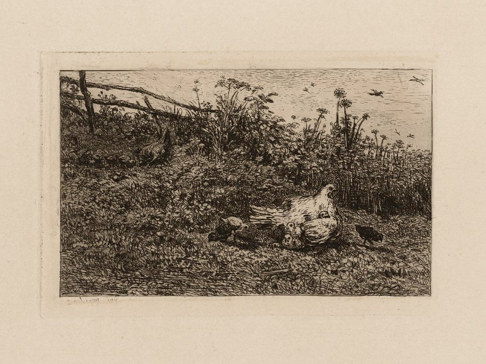 Daubigny - The Hen and her Chicks, 2020.240