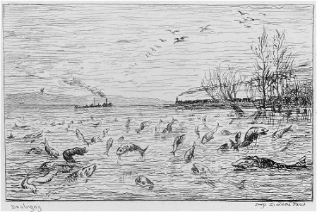 Daubigny - Voyage en bateau, 37.2278, Delteil 114