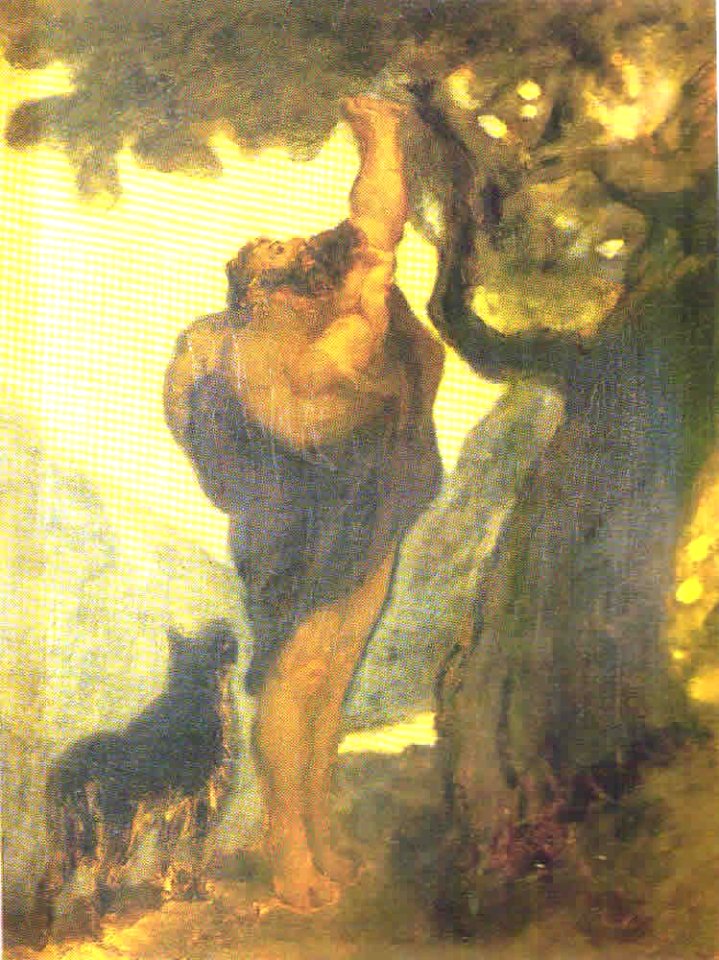 Daumier - DR7007
