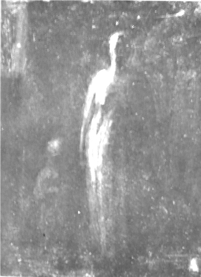 Daumier - DR7267