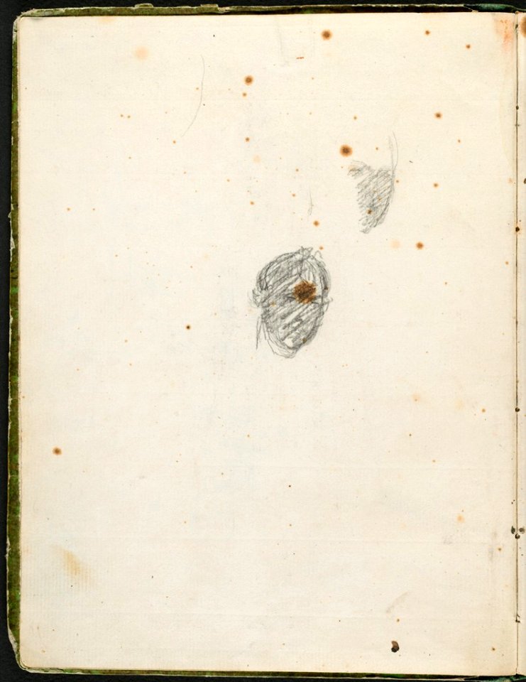 David - 1943.1815.12.1, verso Two Heads of a Young Man