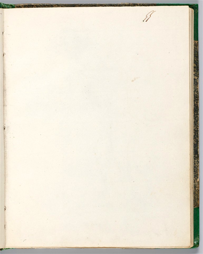 David - 1943.1815.13.55, Blank