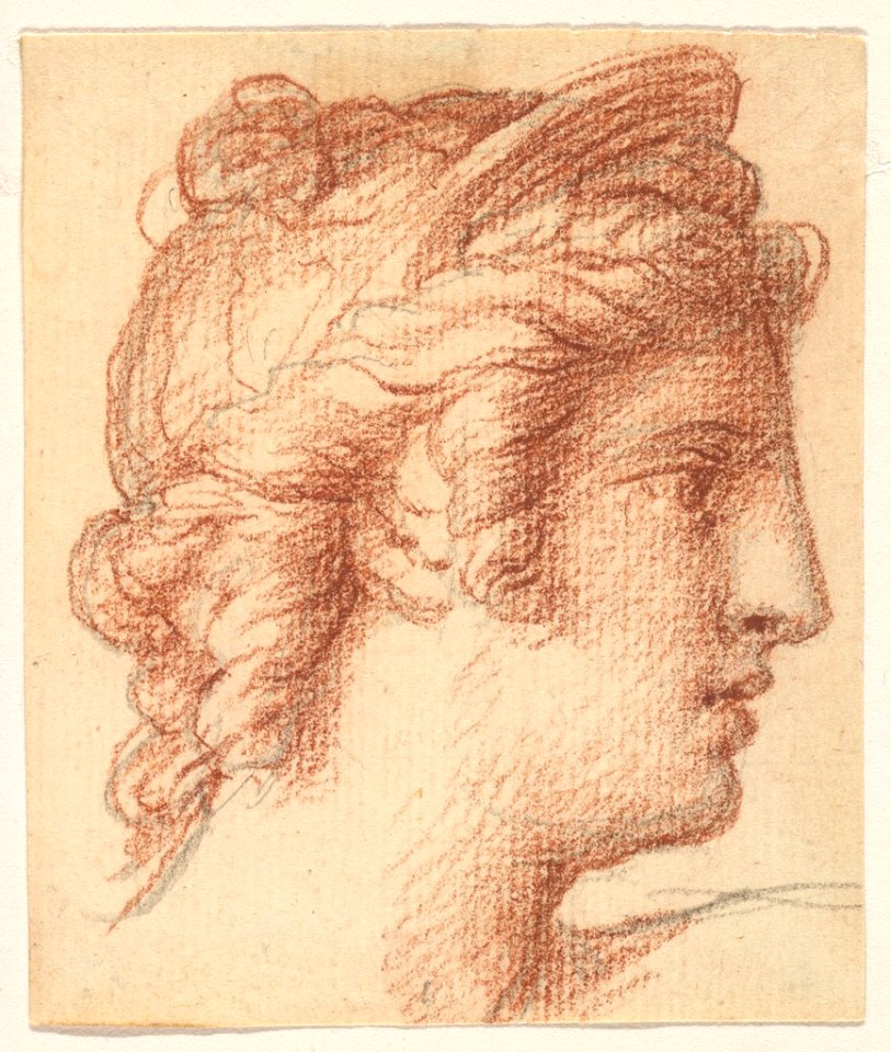 David - circle of - Female Head with Diadem, 1993.175