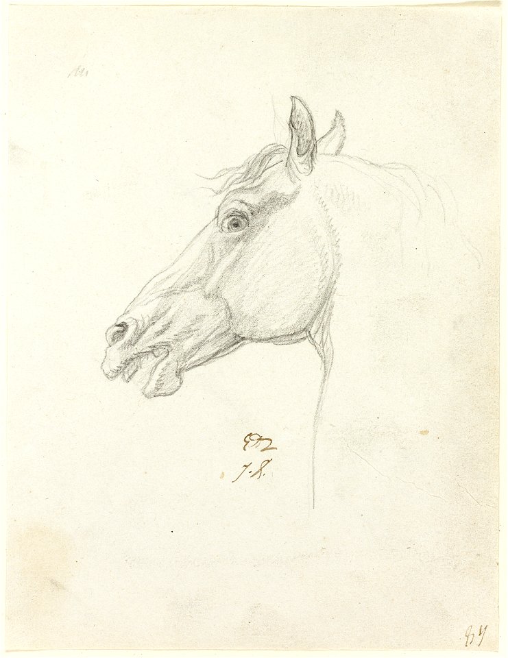 David - Horse’s Head, 1961.393.30
