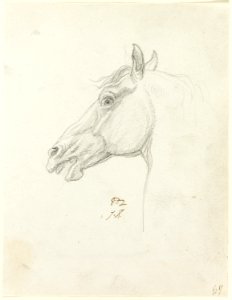 David - Horse’s Head, 1961.393.30