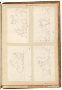 David - Roman Album no. 8, 109685v 0015