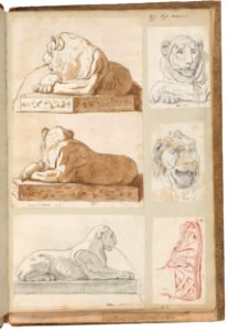 David - Roman Album no. 8, 109685v 0014