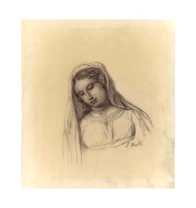 David - Portrait of a young woman in a veil, bust-length, her head inclined to the left, 5698919. Free illustration for personal and commercial use.