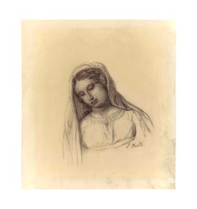 David - Portrait of a young woman in a veil, bust-length, her head inclined to the left, 5698919