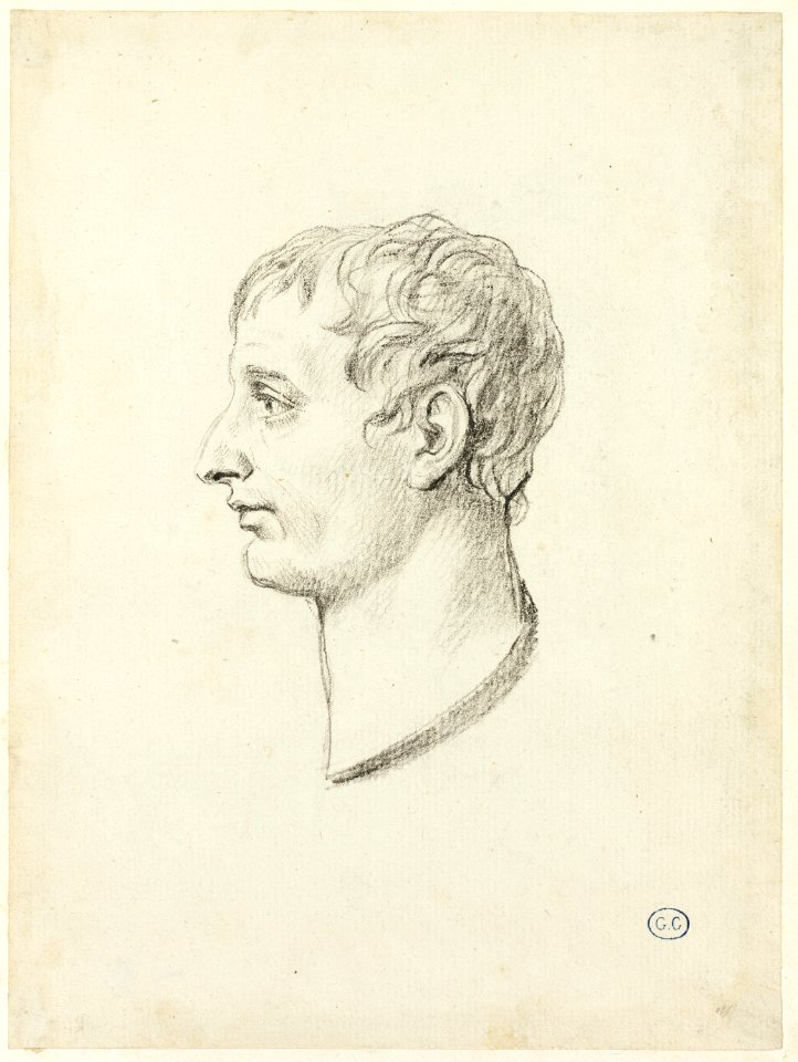 David - Profile of Napoleon, 1961.393.32
