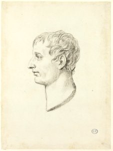 David - Profile of Napoleon, 1961.393.32