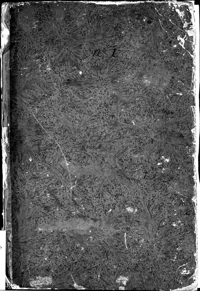 David - The Roman Album, 1943.1815.19.1.A-15.B, 43182893
