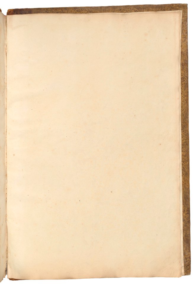 David - Roman Album no. 8, 109685v 0028