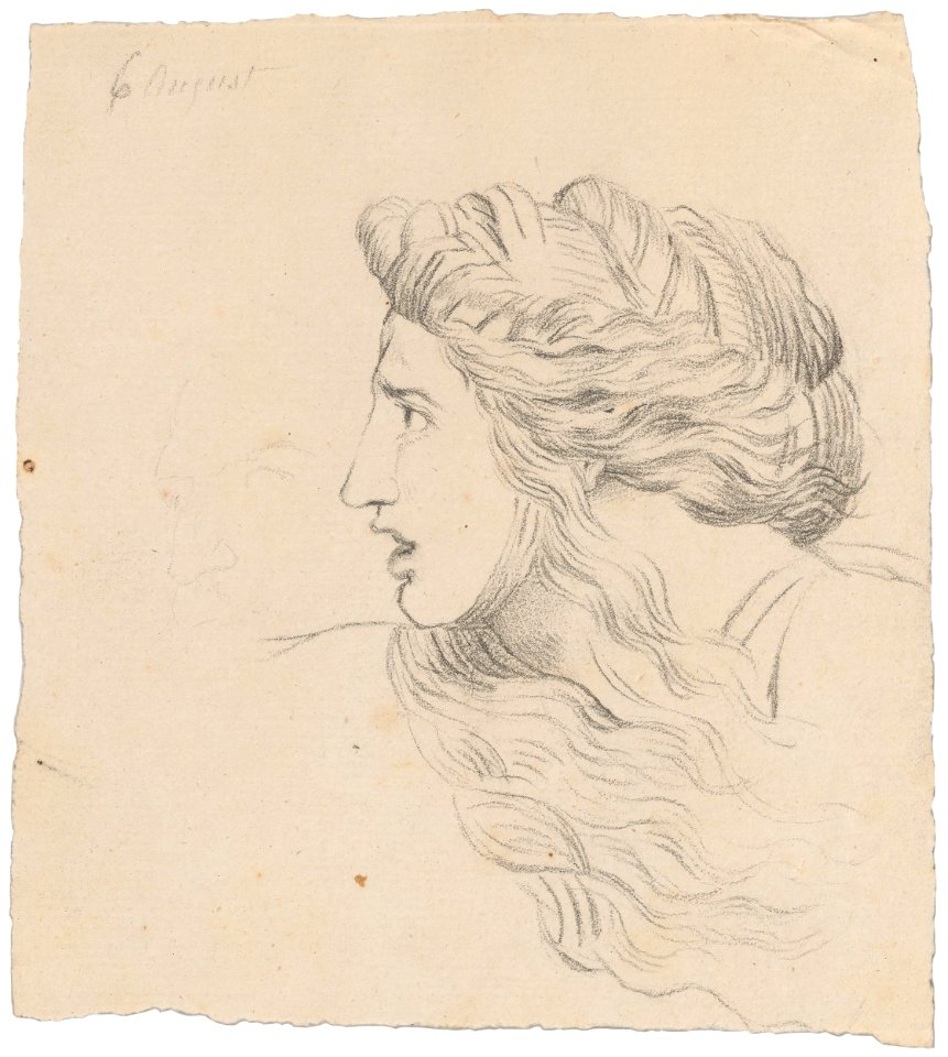 David - Roman Album no. 8, 109685v 0031