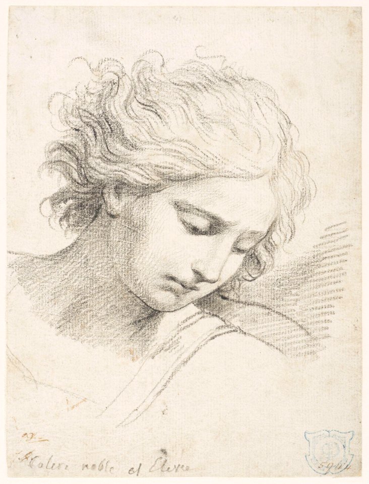 David - Study of the head of St. Michael, 5944
