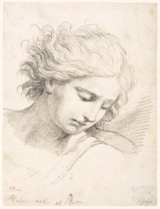 David - Study of the head of St. Michael, 5944
