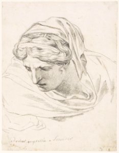 David - Study of a female head, 5945