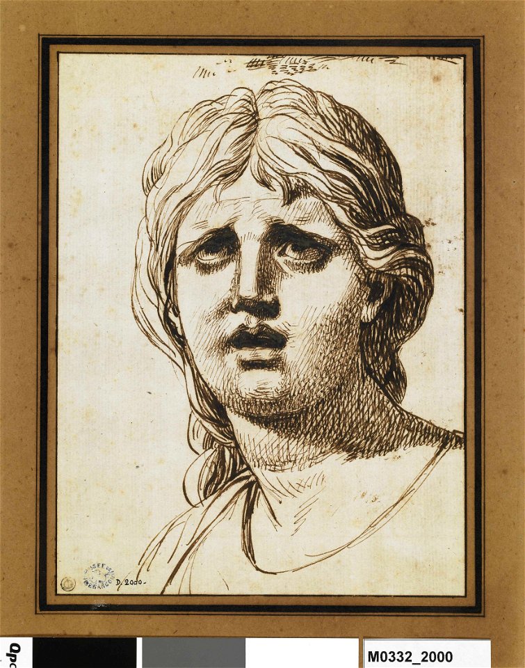 David - Tête de femme vue de face, la bouche entrouverte, les yeux levés, D.2000