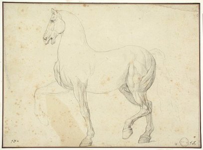 David - Étude de cheval, NI-509-01