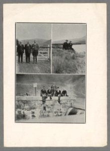 David Bowen and colleagues (5449776)