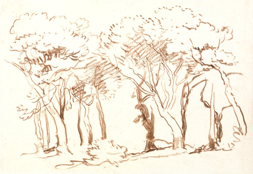 David Cox - Study of Trees - Google Art Project