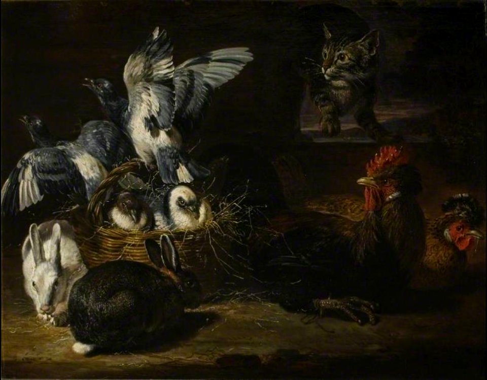 David de Coninck - Poultry and Cat