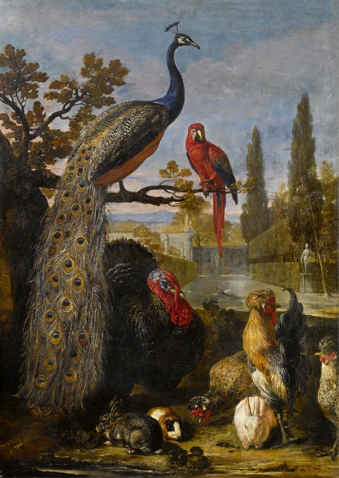 David de Coninck - Een pauw, een papegaai, kalkoenen, hanen, konijnen en een cavia in een park