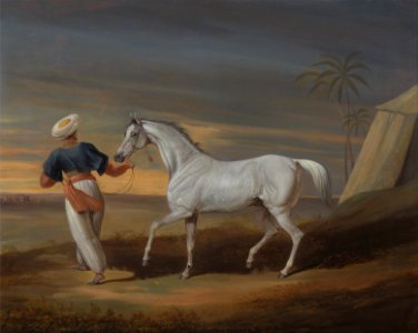 David Dalby of York - Signal, a Grey Arab, with a Groom in the Desert - Google Art Project. Free illustration for personal and commercial use.