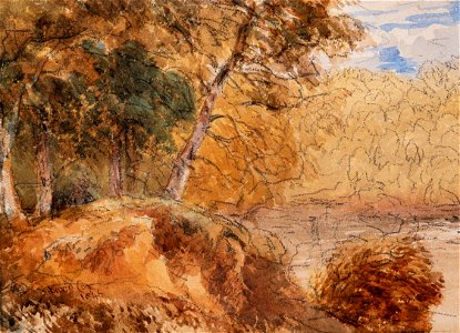 David Cox the elder - woodland study - 1846. Free illustration for personal and commercial use.