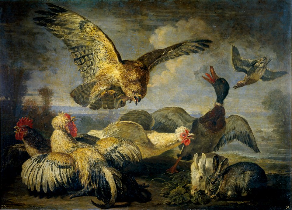 David de coninck-aves-prado