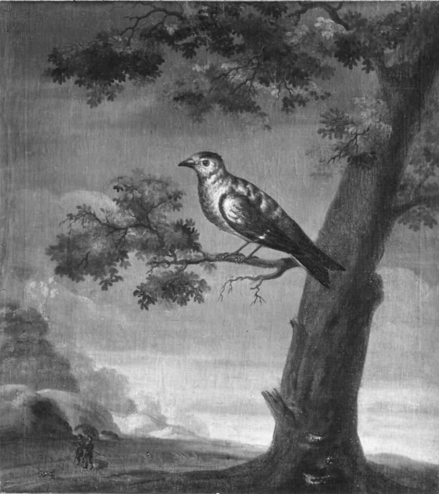 David Kock - Kramsfågel - NMGrh 629 - Nationalmuseum