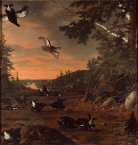 David Klöcker Ehrenstrahl - Black Cocks at Ground - Google Art Project