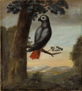 David Kock - Papegoja - NMDrh 759 - Nationalmuseum