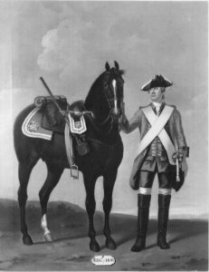 David Morier (1705^-70) - Private, 1st Horse, 1751. - RCIN 400728 - Royal Collection