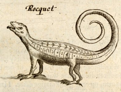 De Rocquet - BNA-DIG-KOSTBARE-0427-030 c