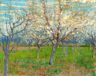 De roze boomgaard - s0026V1962 - Van Gogh Museum