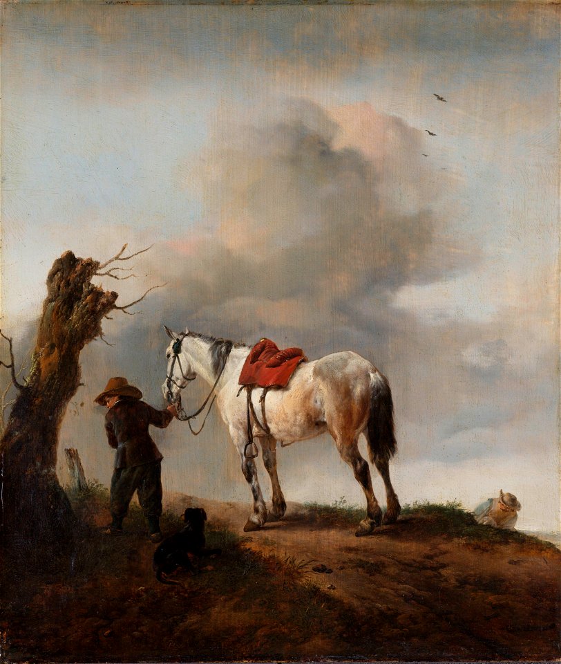 De schimmel Rijksmuseum SK-A-1610