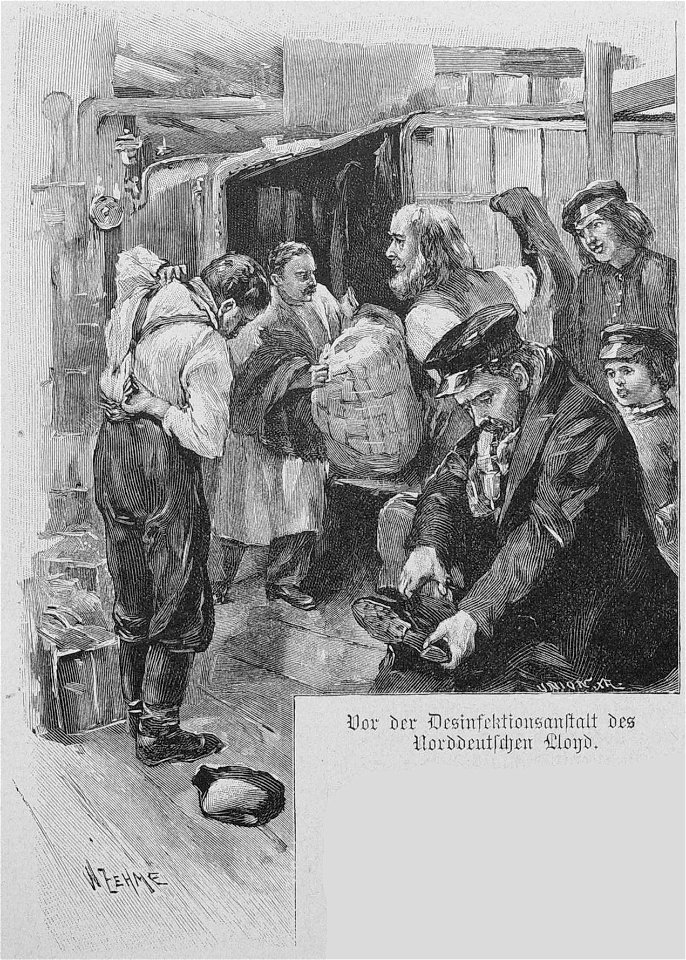 Die Gartenlaube (1895) b 141