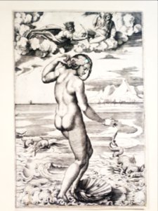 Die Geburt der Venus, um 1516