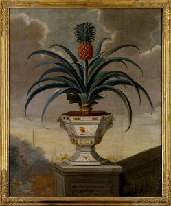David von Cöln - Ananas i kruka - NMGrh 1308 - Nationalmuseum
