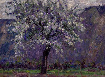 David Widhopff - Spring Landscape