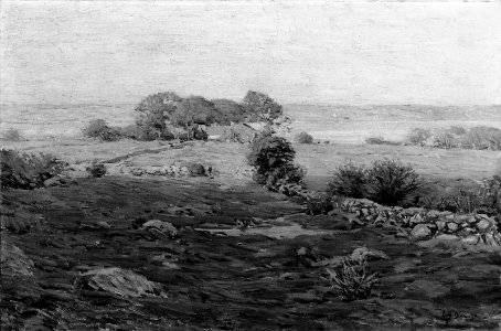 Charles Harold Davis - Pastures in May - 35.1687 - Museum of Fine Arts