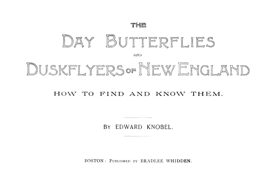 Day Butterflies and Duskflyers-0003