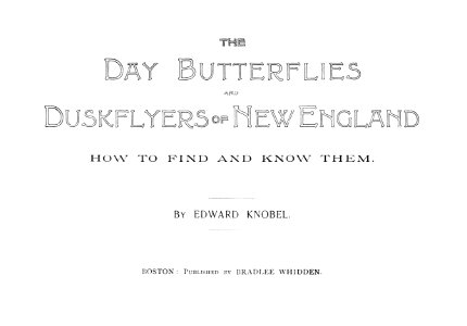 Day Butterflies and Duskflyers-0003