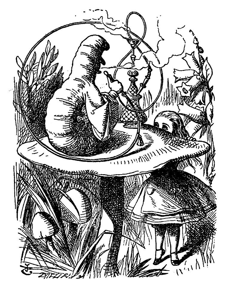 De Alice's Abenteuer im Wunderland Carroll pic 15