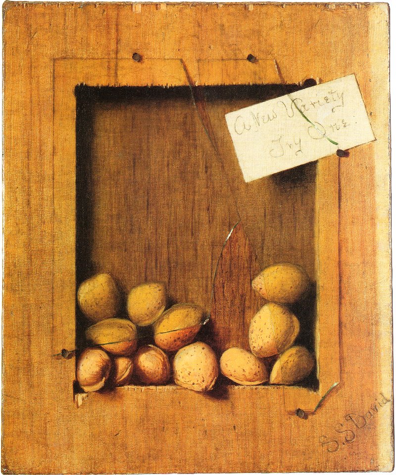 De Scott Evans - A New Variety, Try One