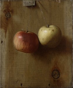 De Scott Evans - Two Hanging Apple - 1974.78 - Yale University Art Gallery